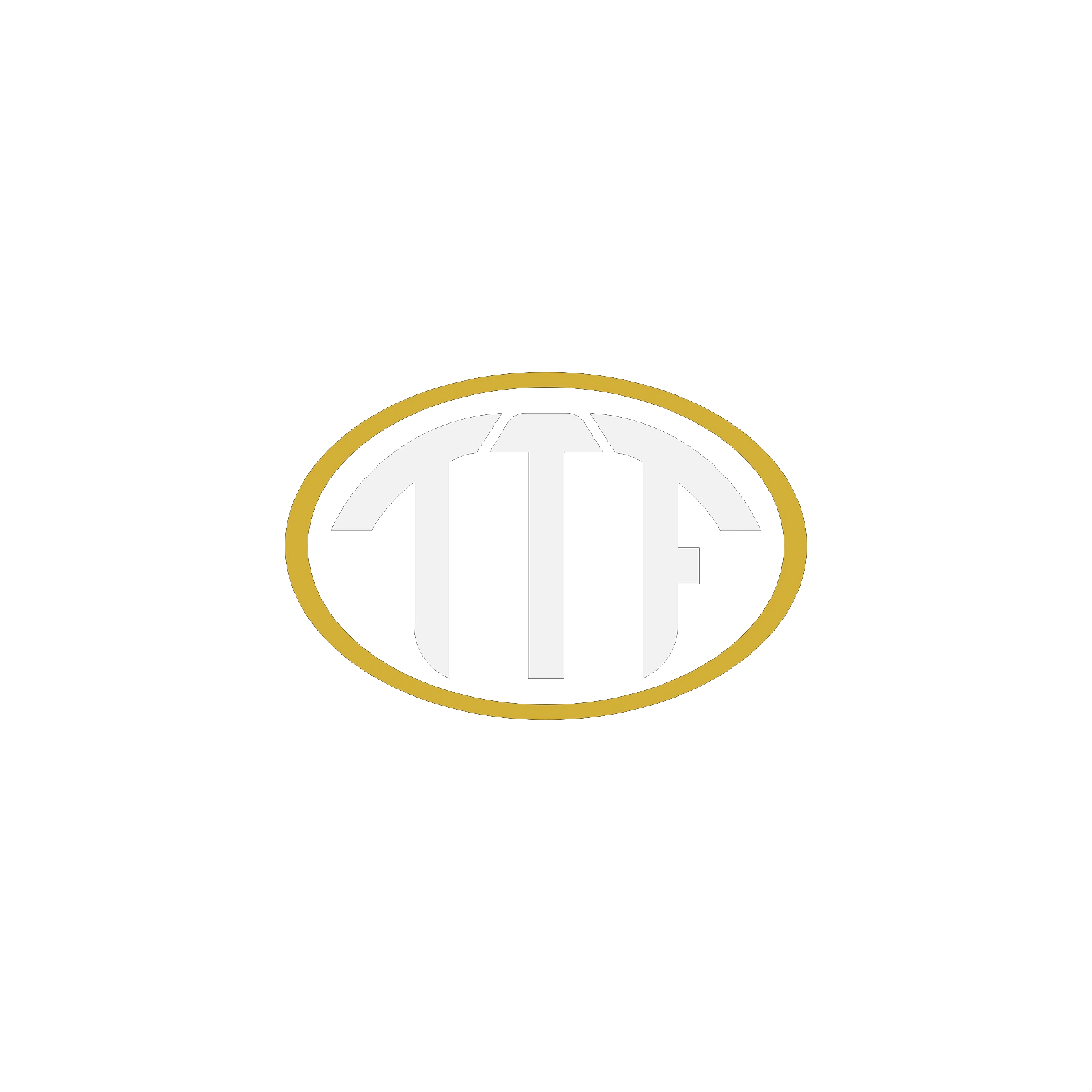 Team The Flex
